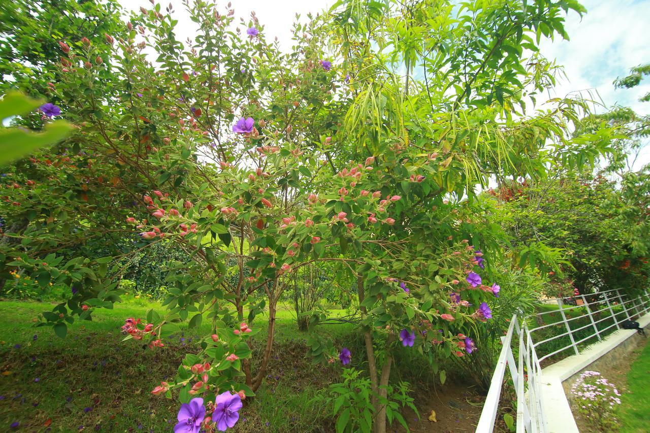 The Tangerine Resort Kodaikanal Eksteriør bilde
